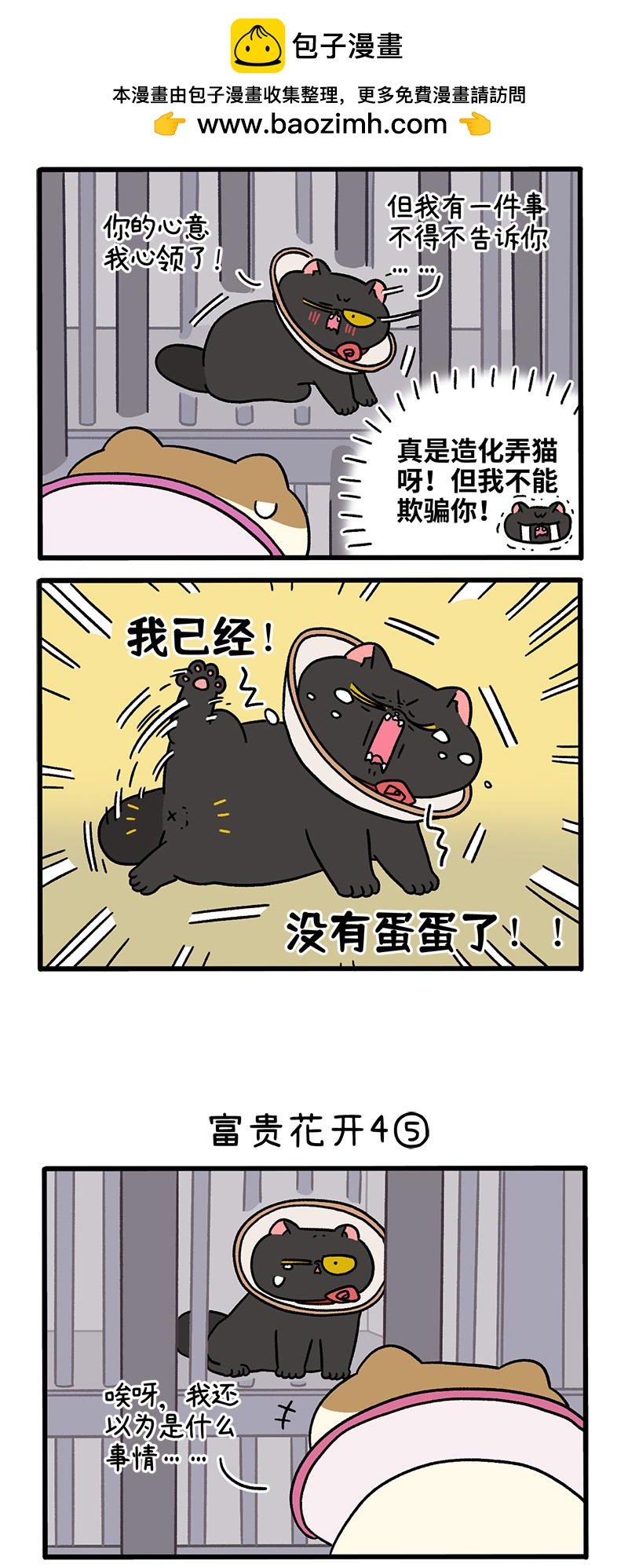 番外24下 富贵花开4