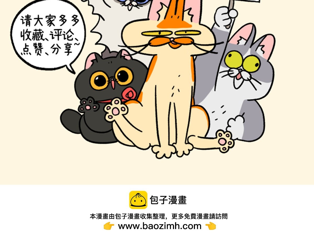 第111话 猫晶晶疑云5