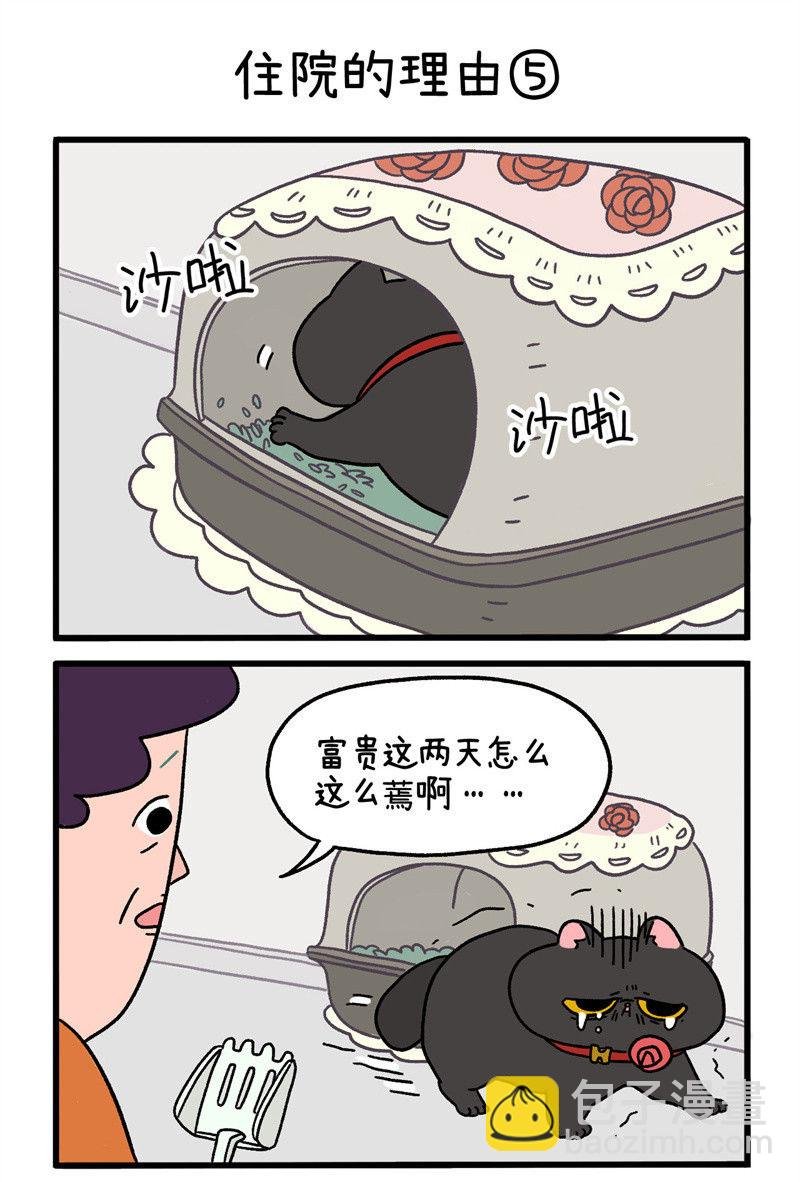 第16话2 住院的理由
