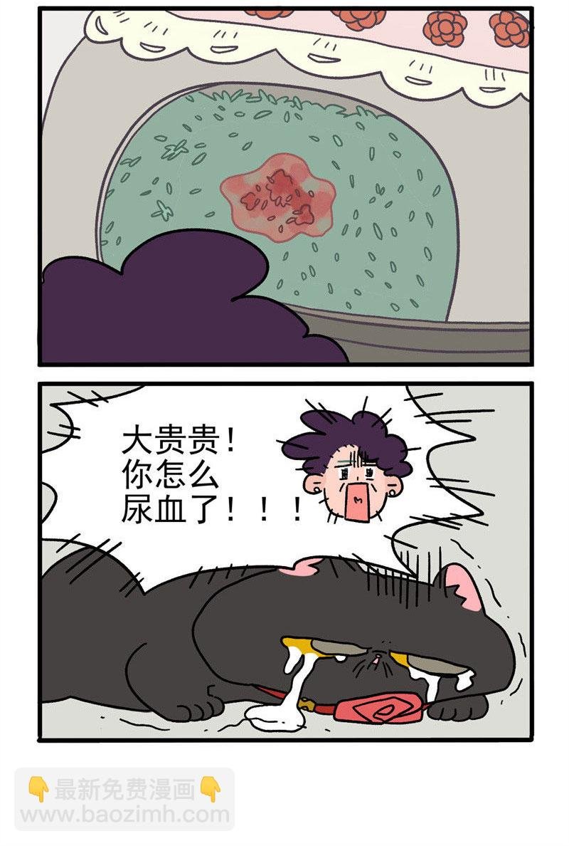 第16话2 住院的理由
