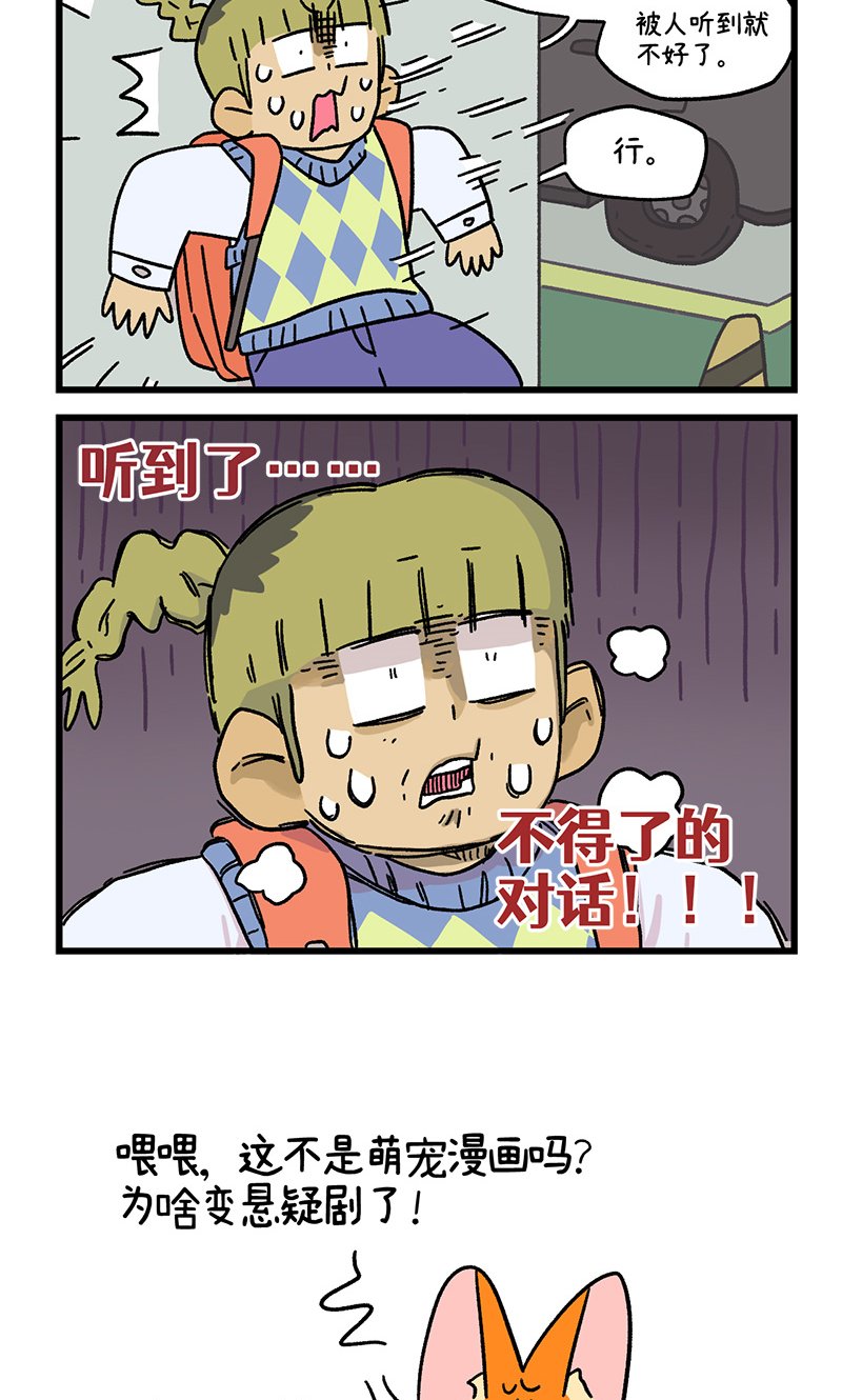 第113话 猫晶晶疑云7
