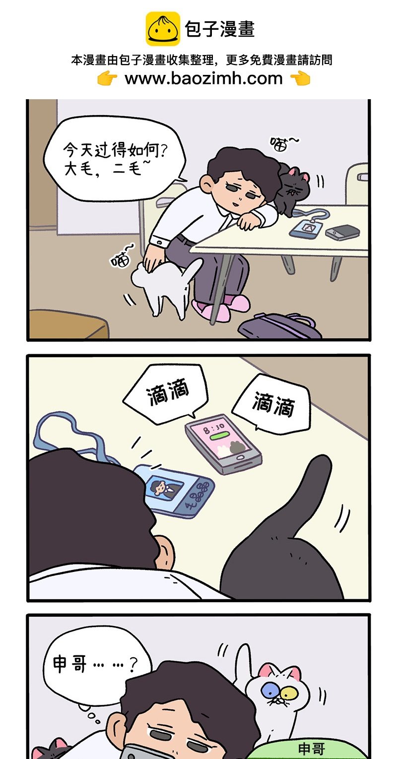 第117话1 猫晶晶疑云11
