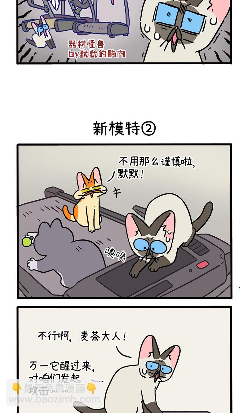 第121话1 新模特