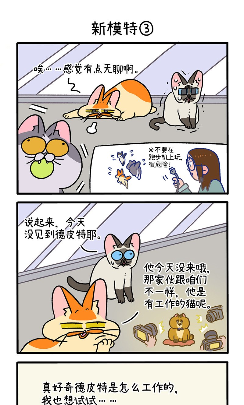 第121话1 新模特