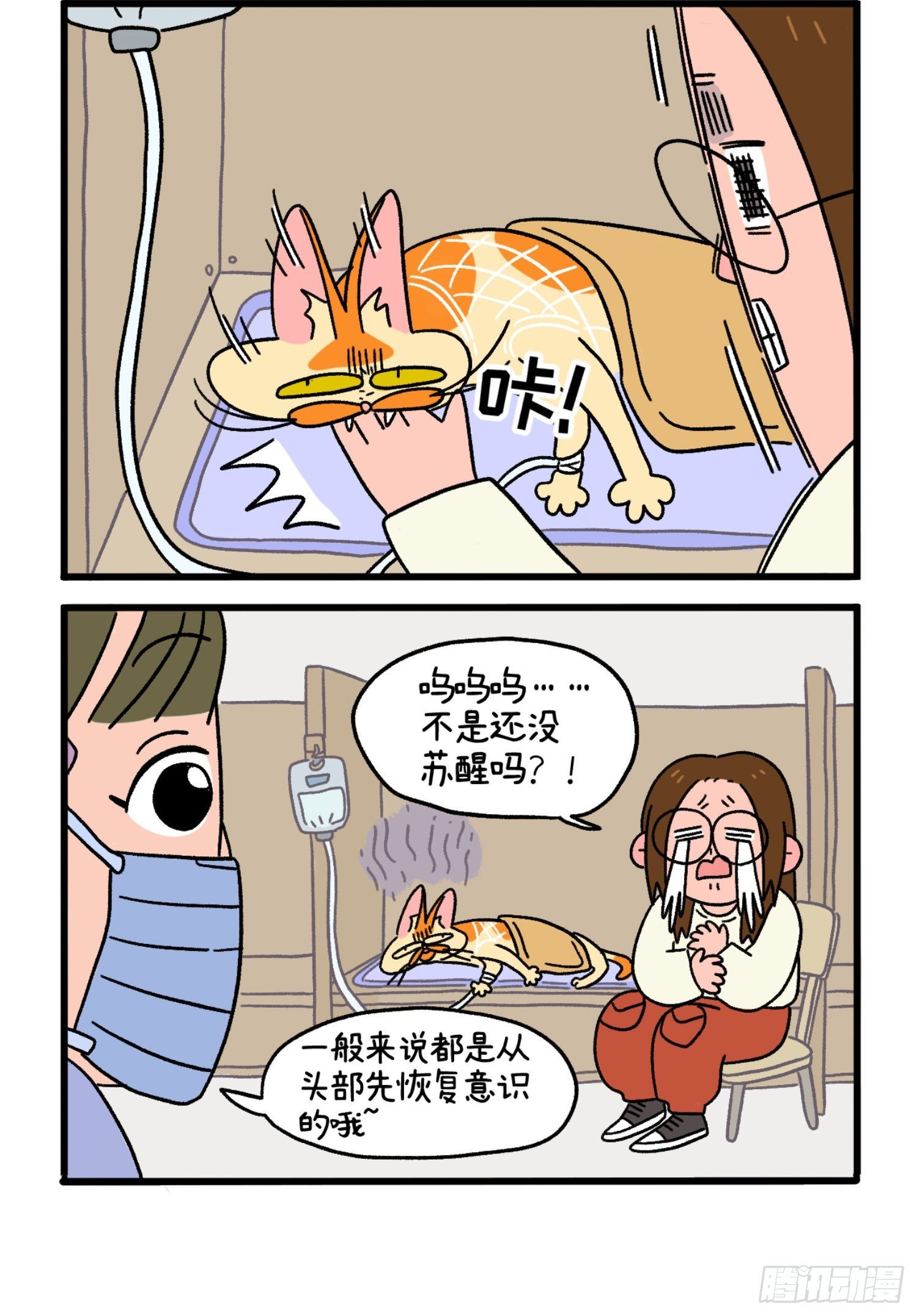 第17话 麻醉