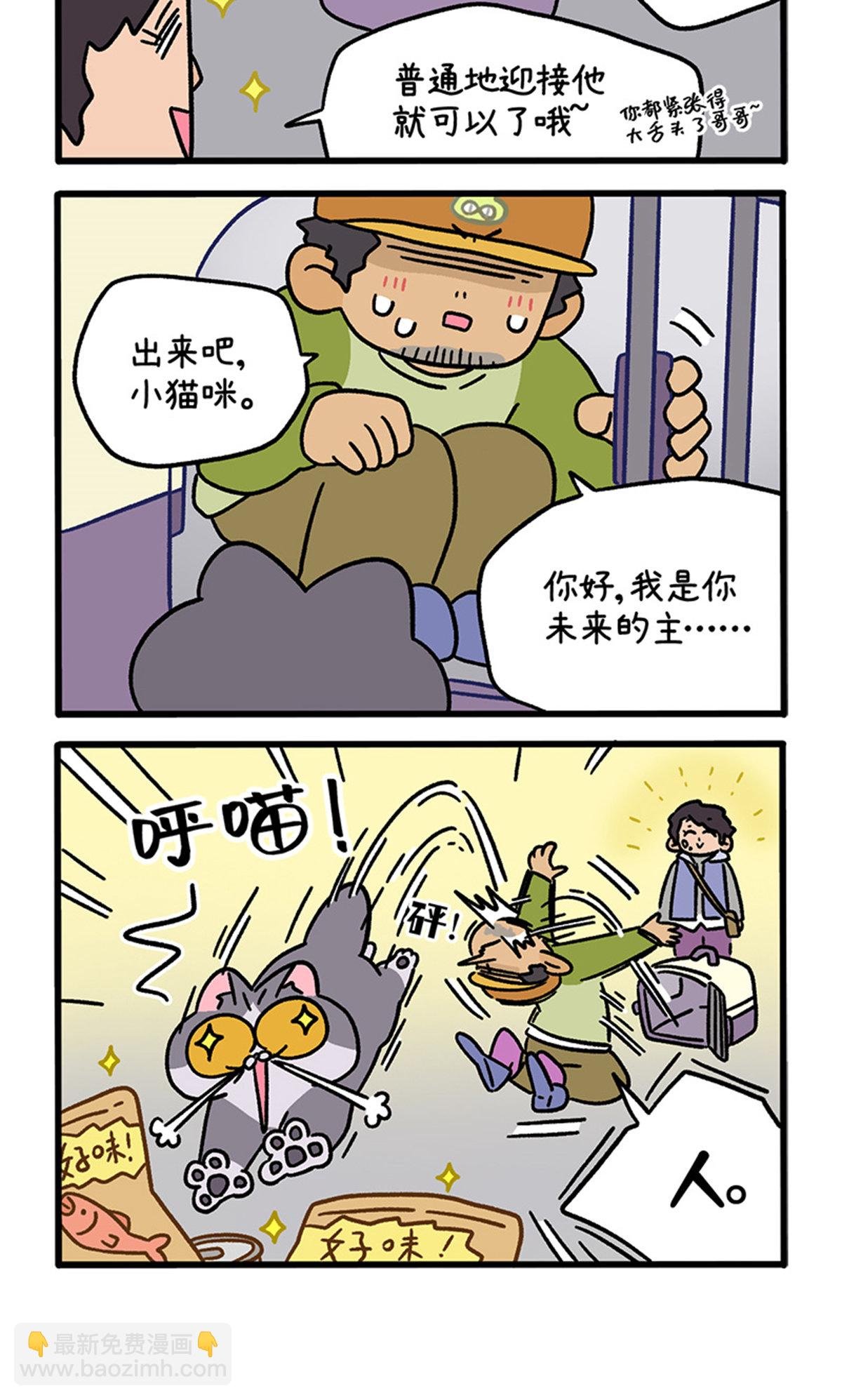 第126话1 关于毛哥是怎么有猫的