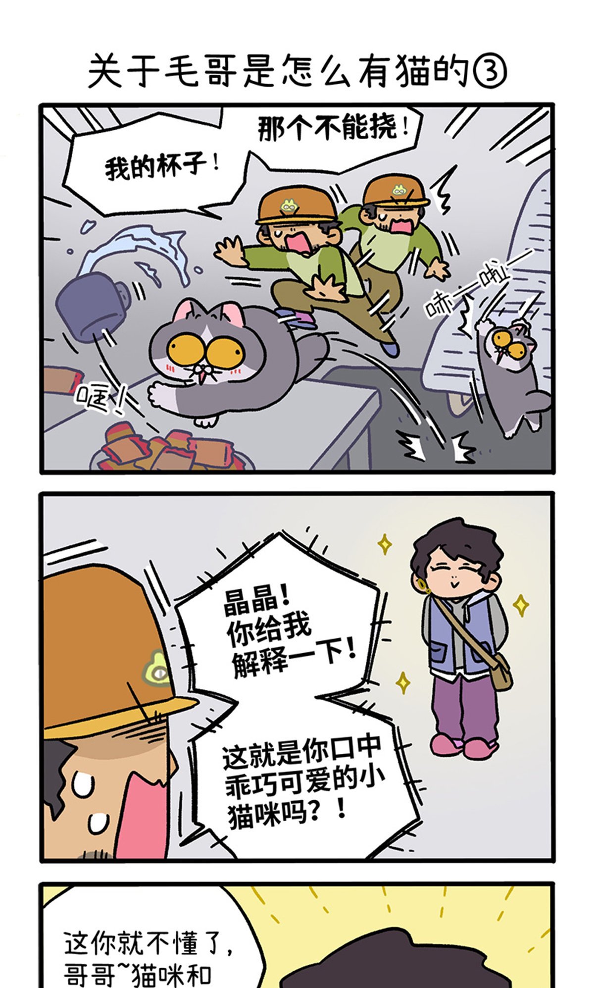 第126话1 关于毛哥是怎么有猫的