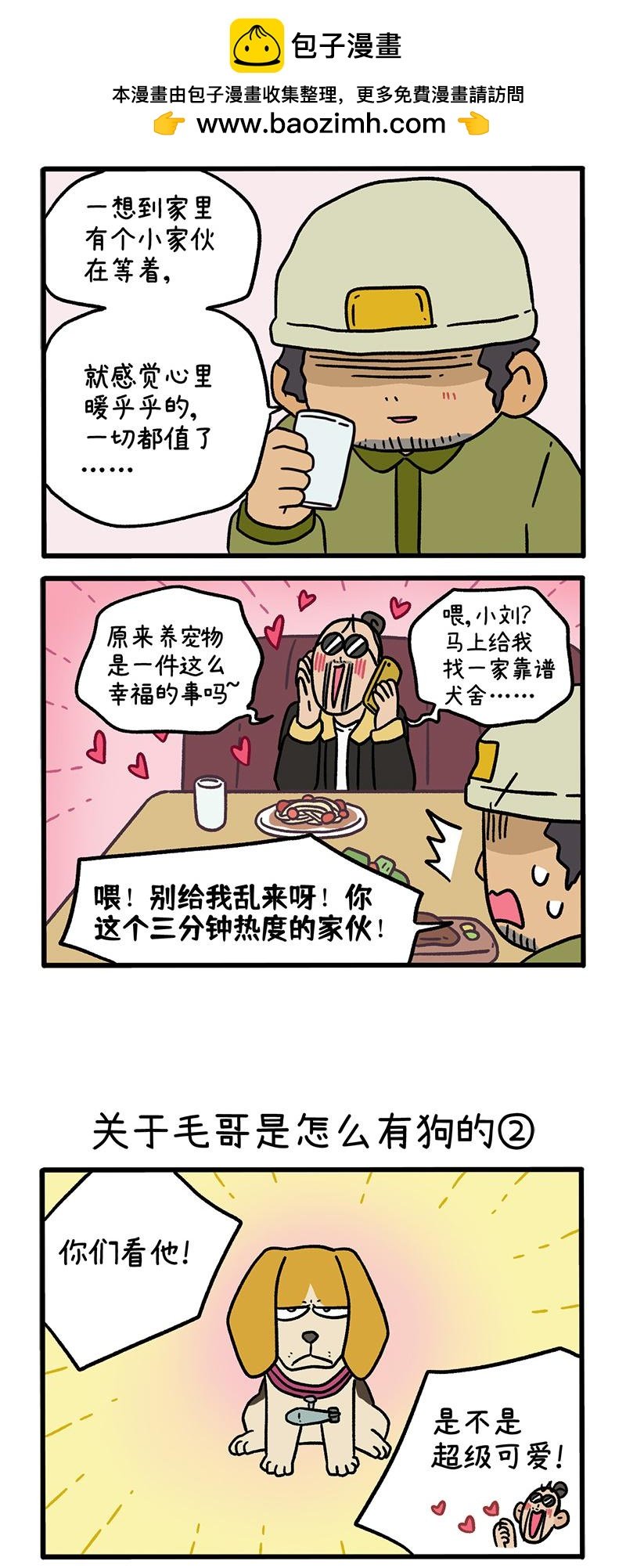 第127话1 关于毛哥是怎么有狗的