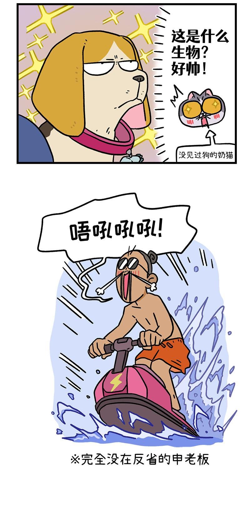 第127话2 关于毛哥是怎么有狗的