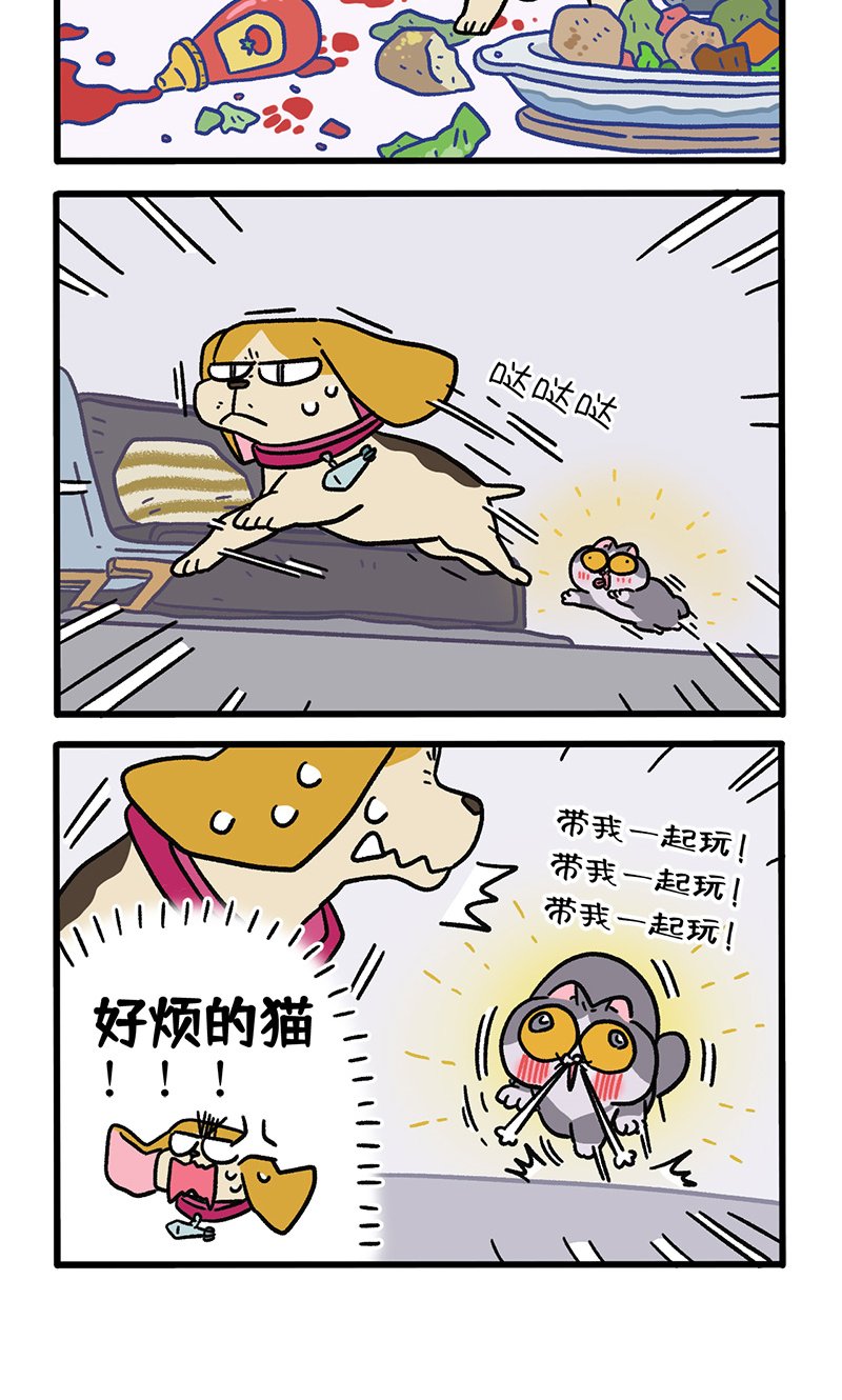 第128话1 关于猫狗是怎么相识的