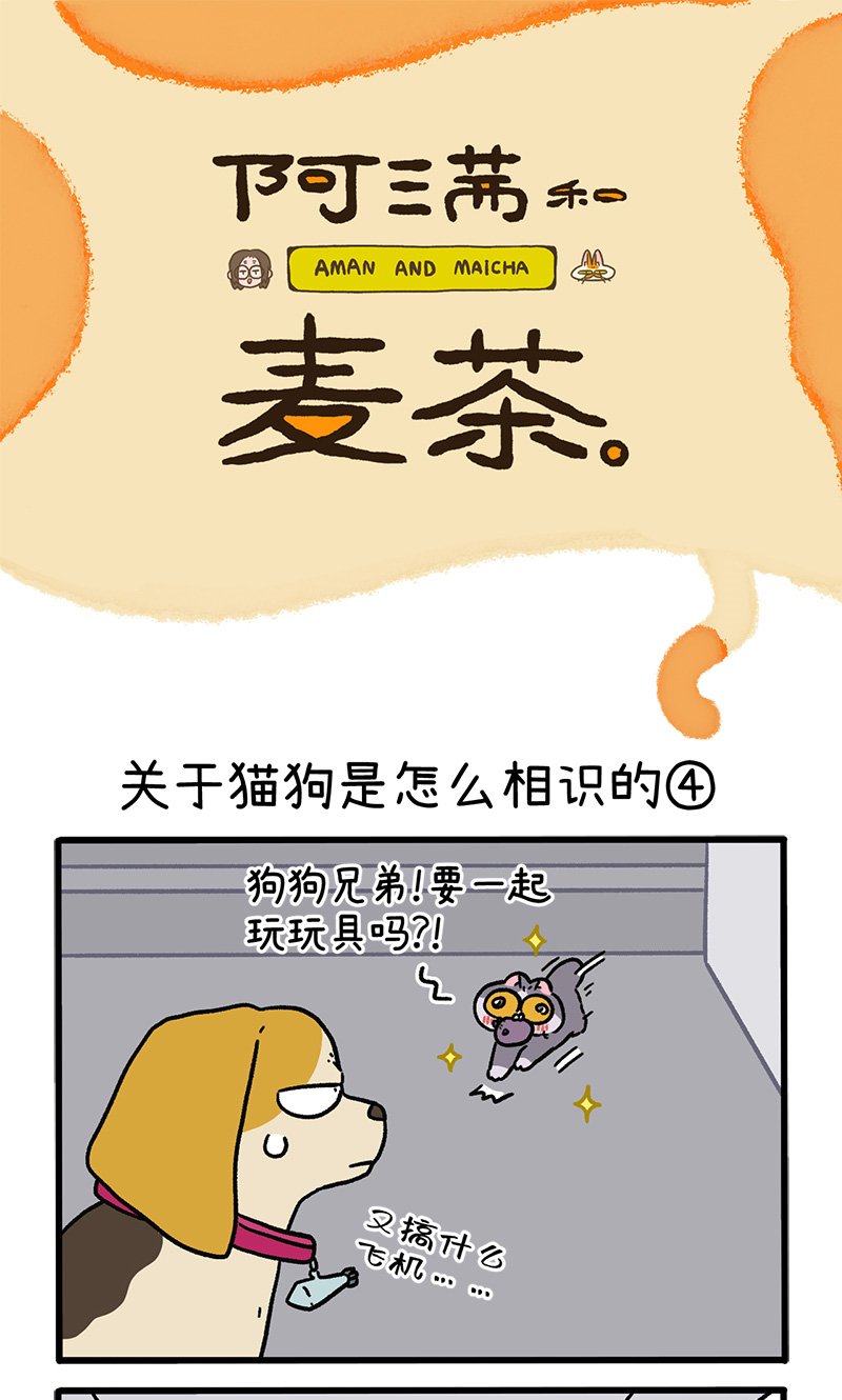 第128话2 关于猫狗是怎么相识的
