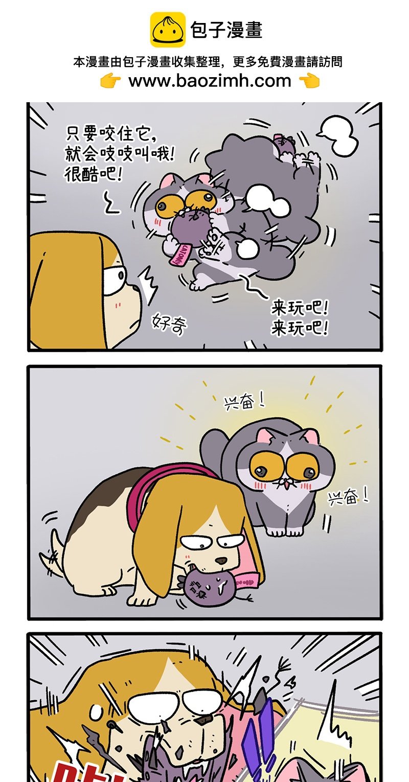 第128话2 关于猫狗是怎么相识的