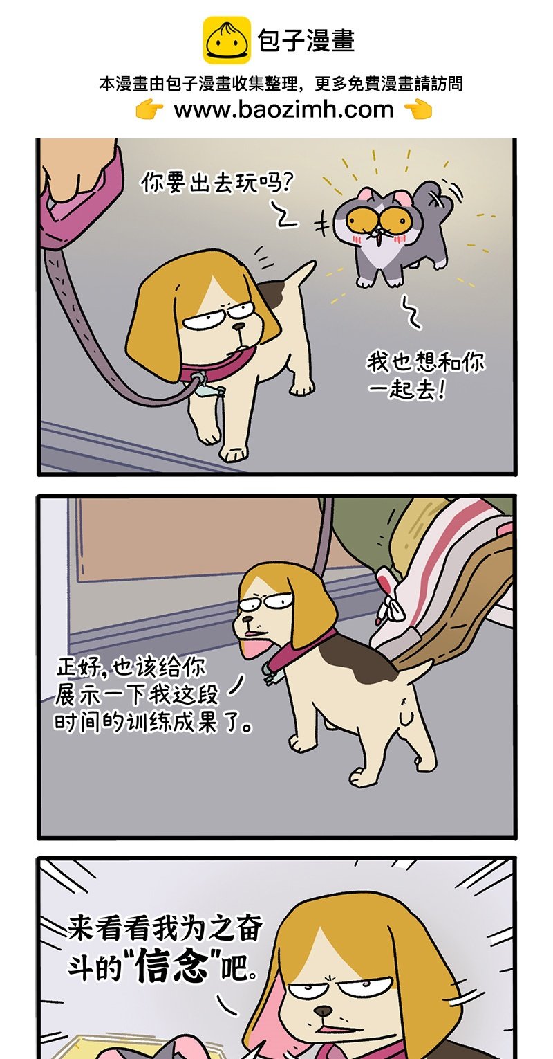 第129话2 关于猫狗是怎么相处的