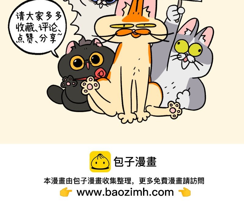 第129话2 关于猫狗是怎么相处的