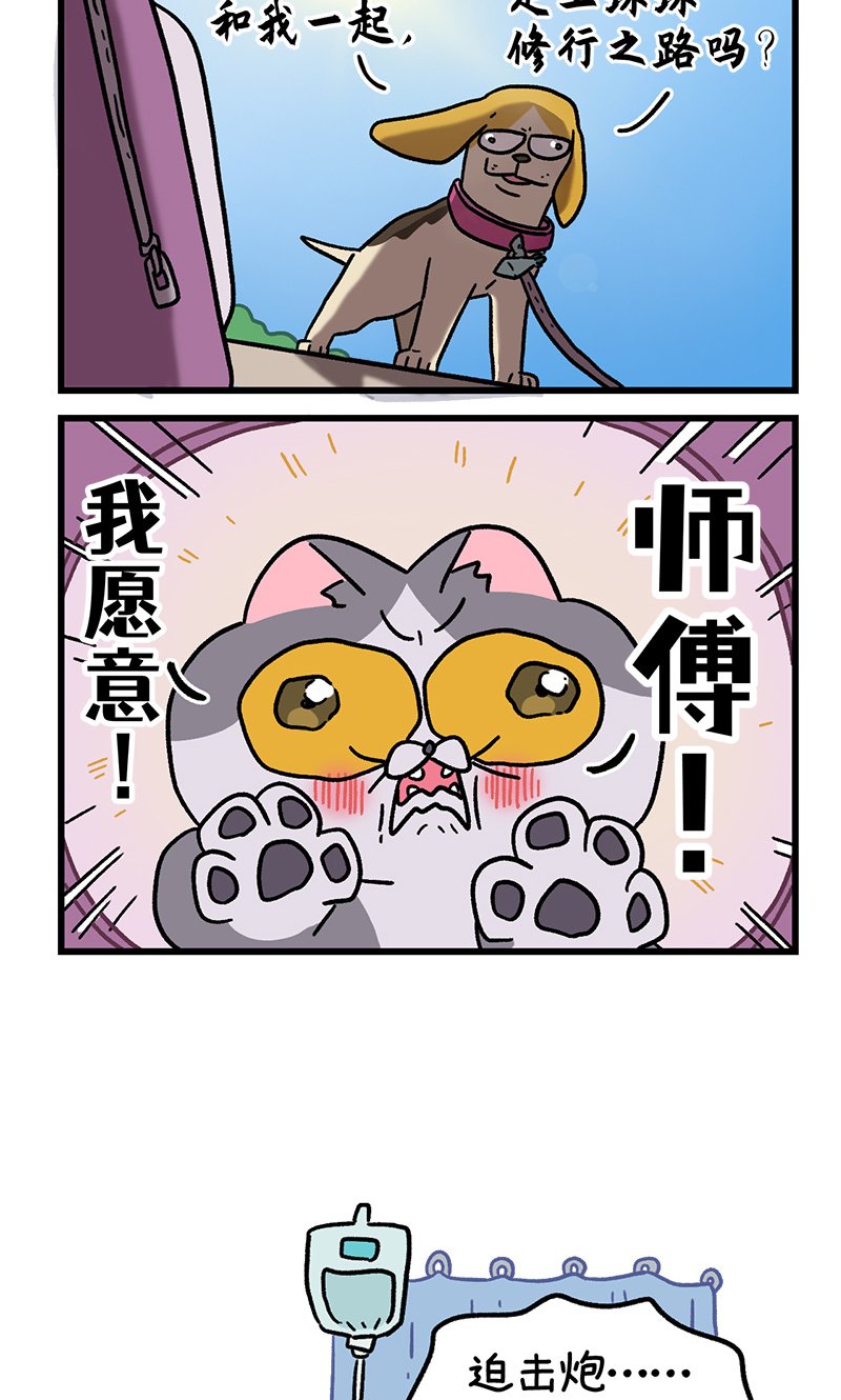 第130话2 关于师傅是怎么收徒的