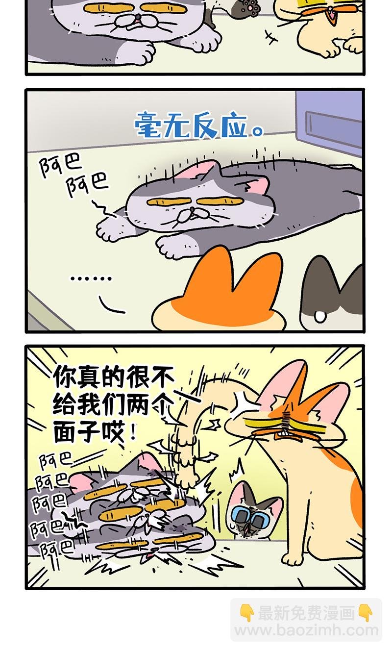 第131话1 阿狗！站起来！