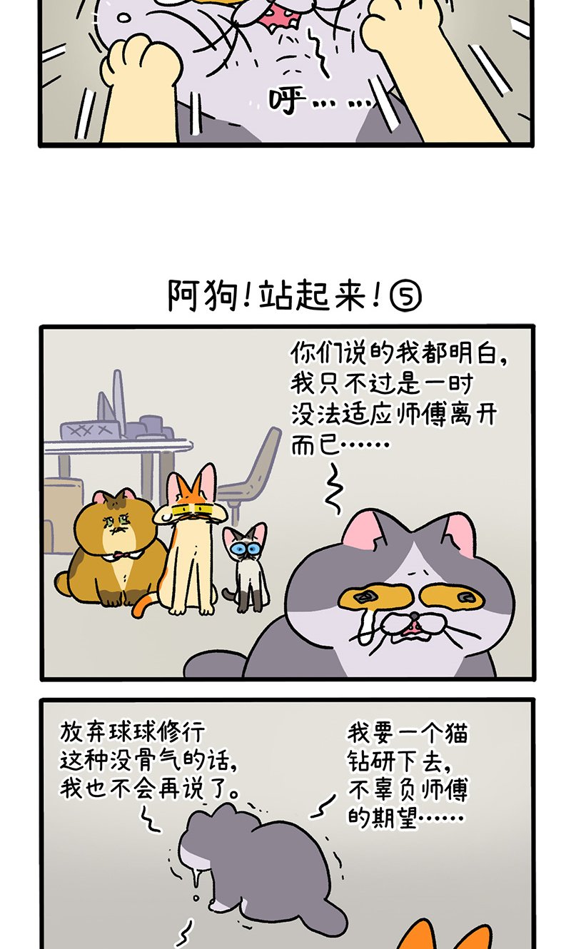 第131话2 阿狗！站起来！