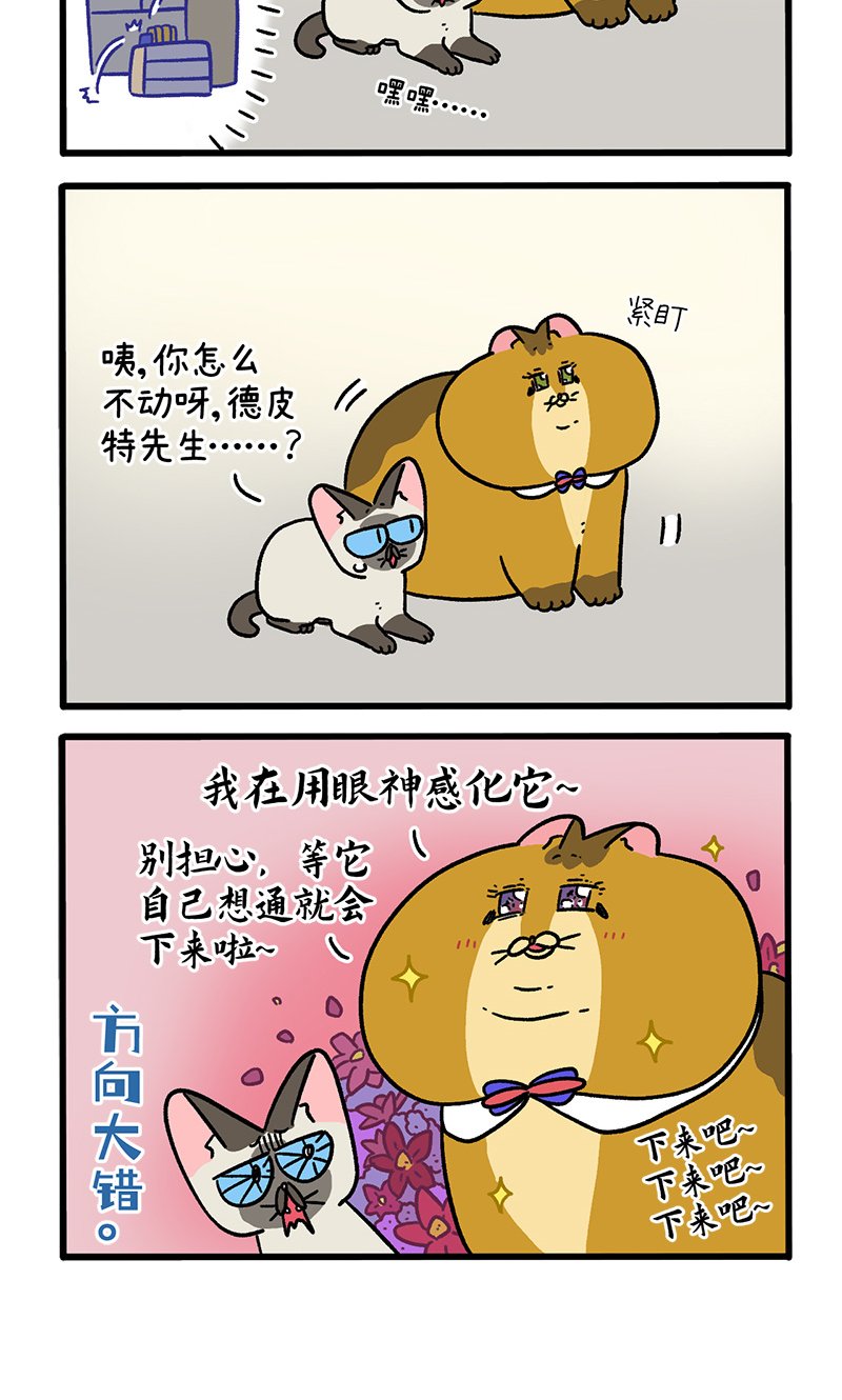 第134话2 德皮特减肥记3