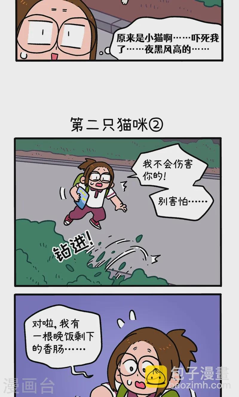 第140话1 第二只猫咪