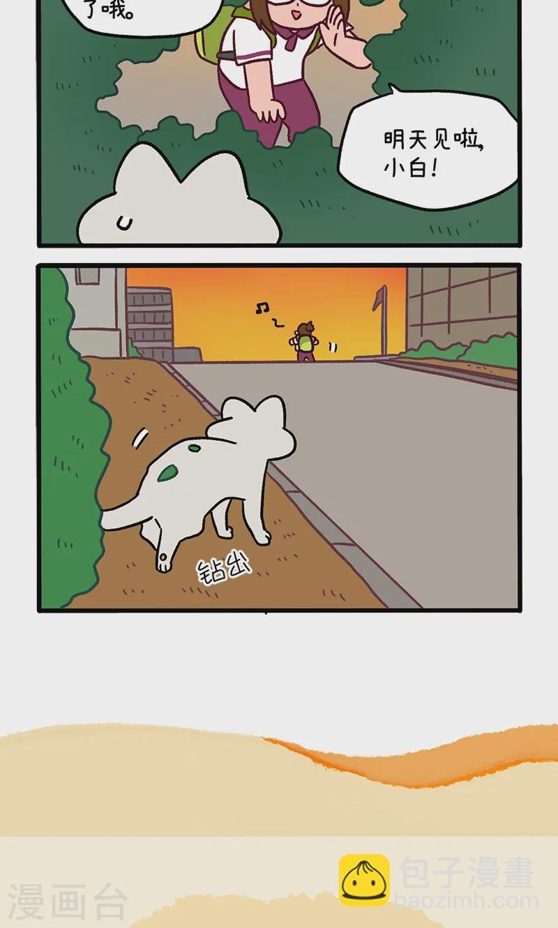 第140话1 第二只猫咪