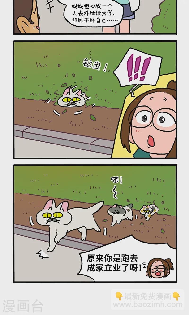 第140话2 第二只猫咪