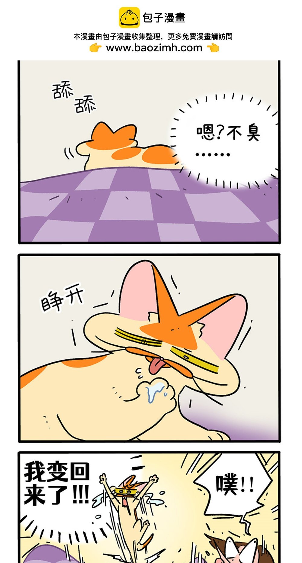 第155话2 如果交换身体的话6