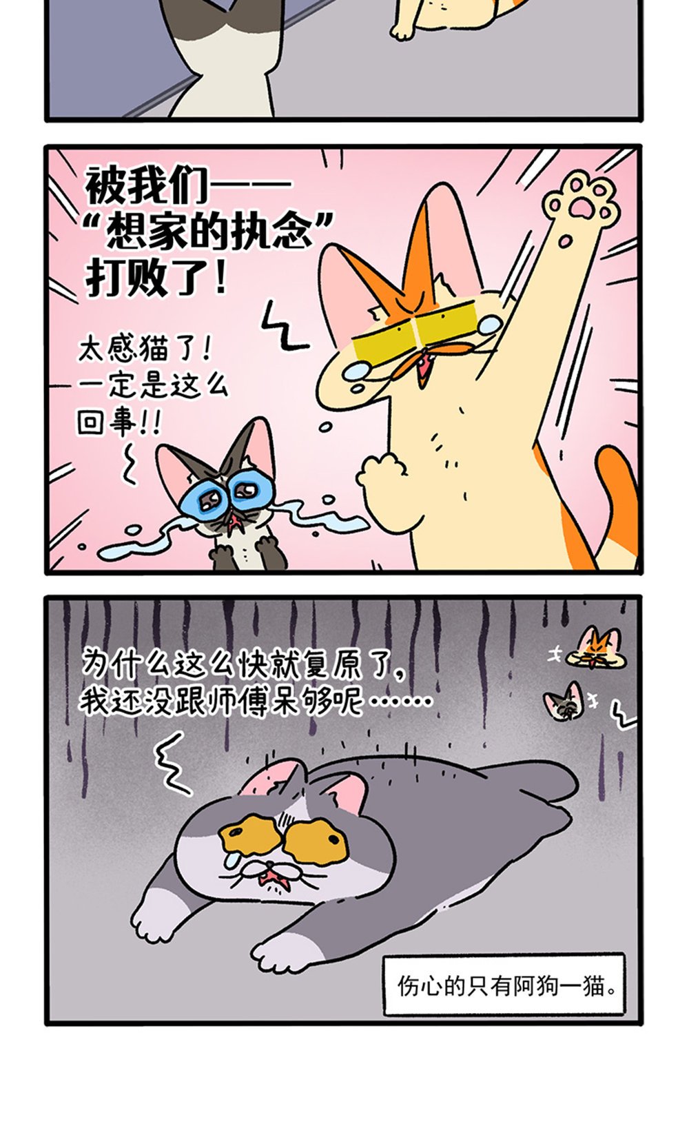 第155话2 如果交换身体的话6