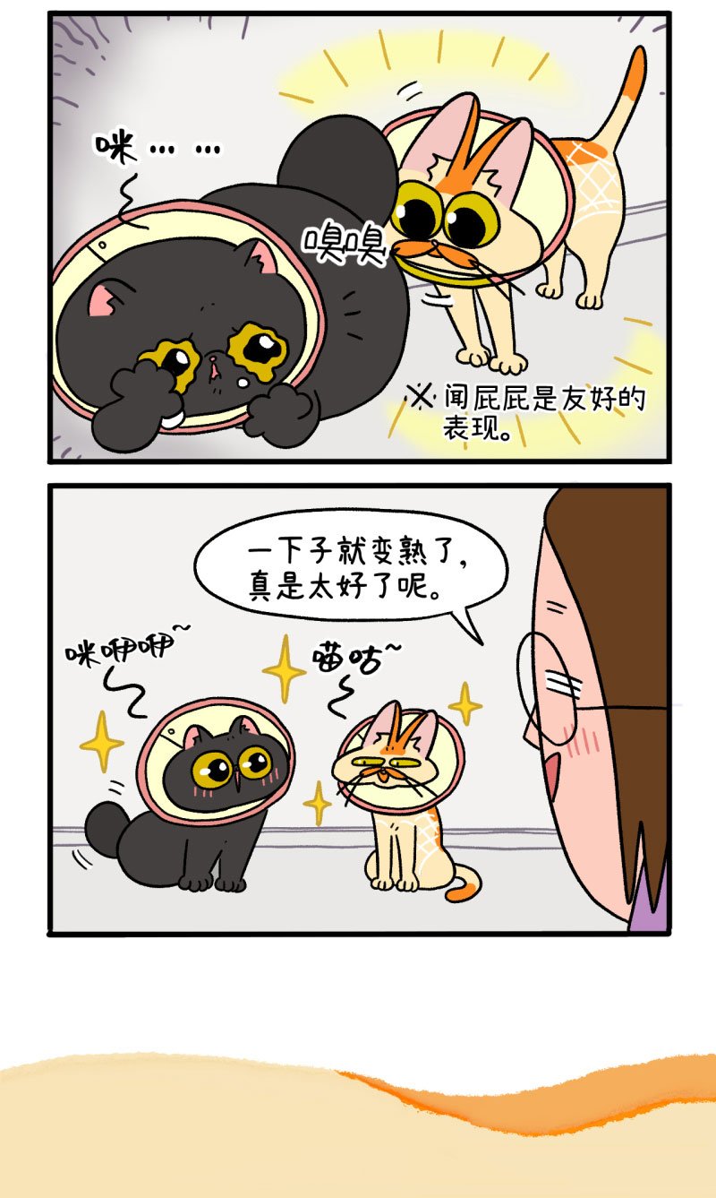第22话1 到王阿姨家做客了