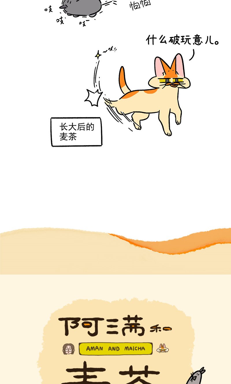 第156话2 猫晶晶的春日企划1