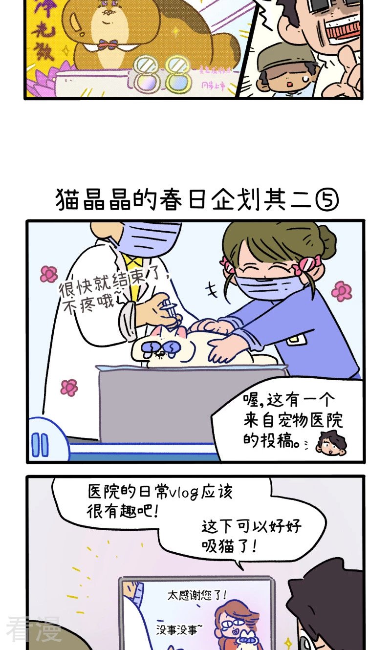 第157话2 猫晶晶的春日企划2