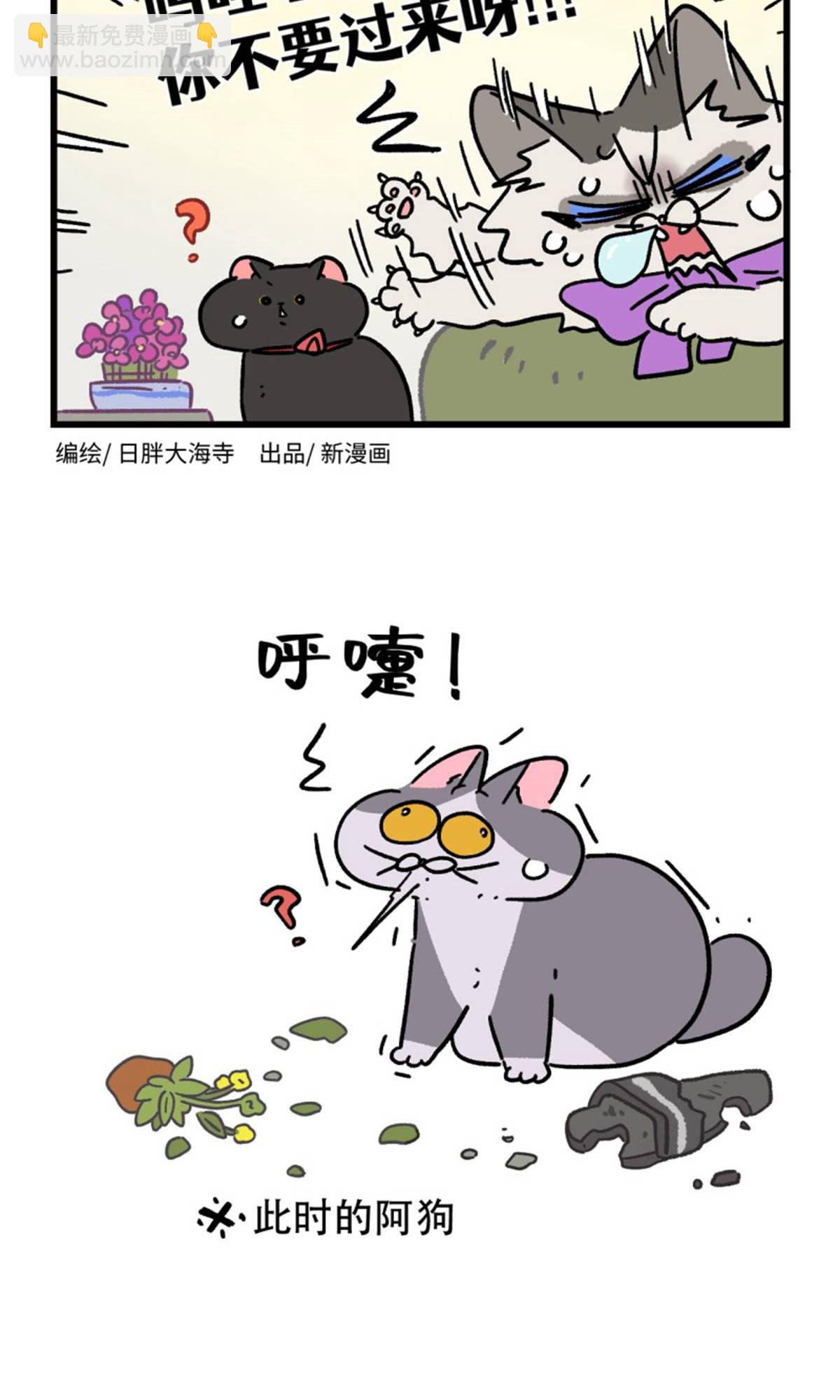 第162话