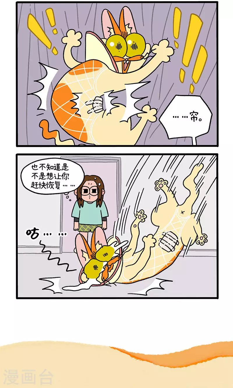 第23话1 术后恢复