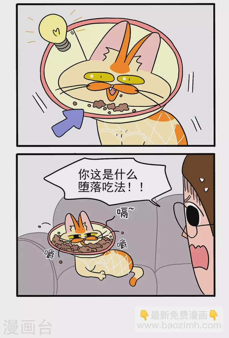 第23话2 术后恢复