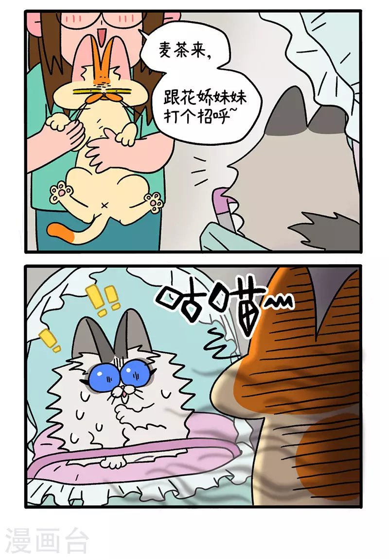 第33话 医院偶遇