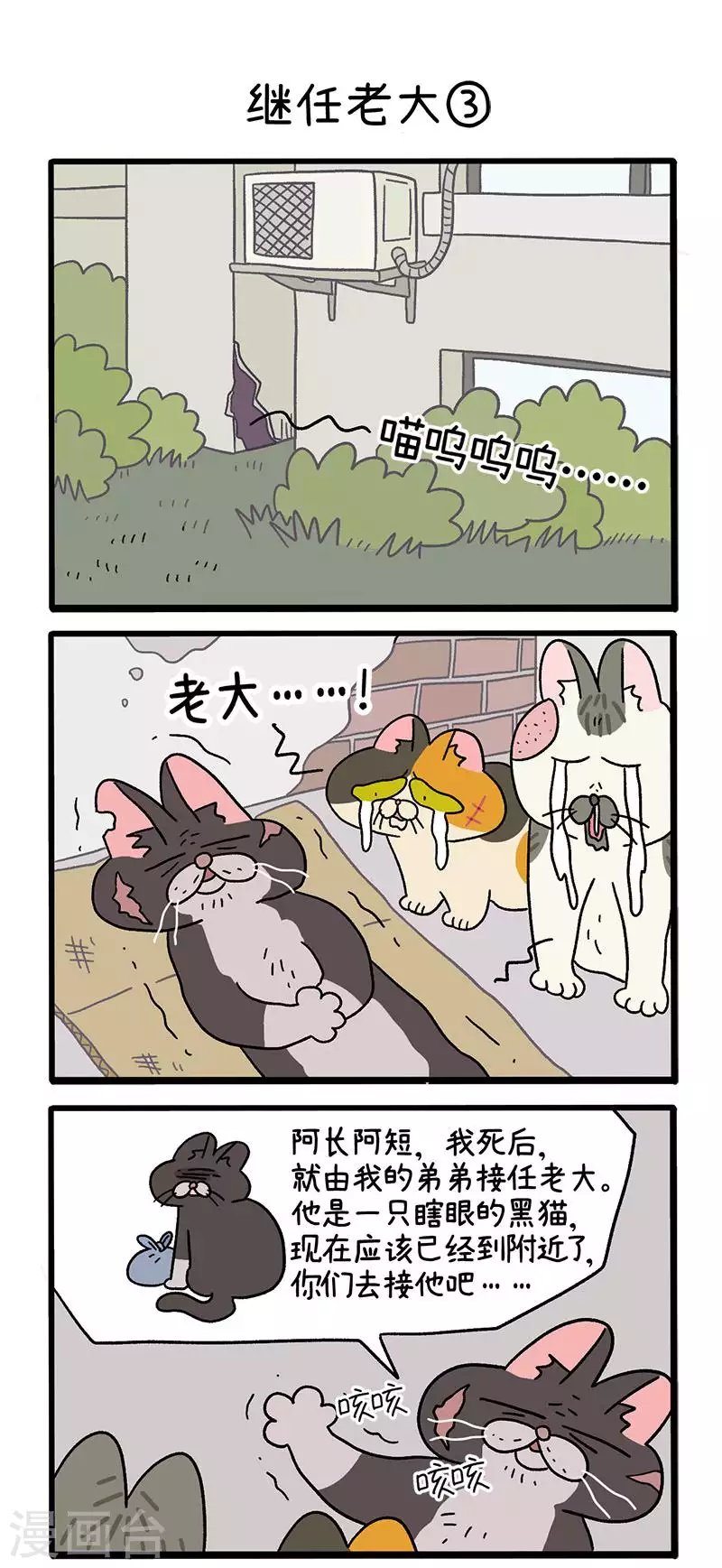 第37话1 继任老大