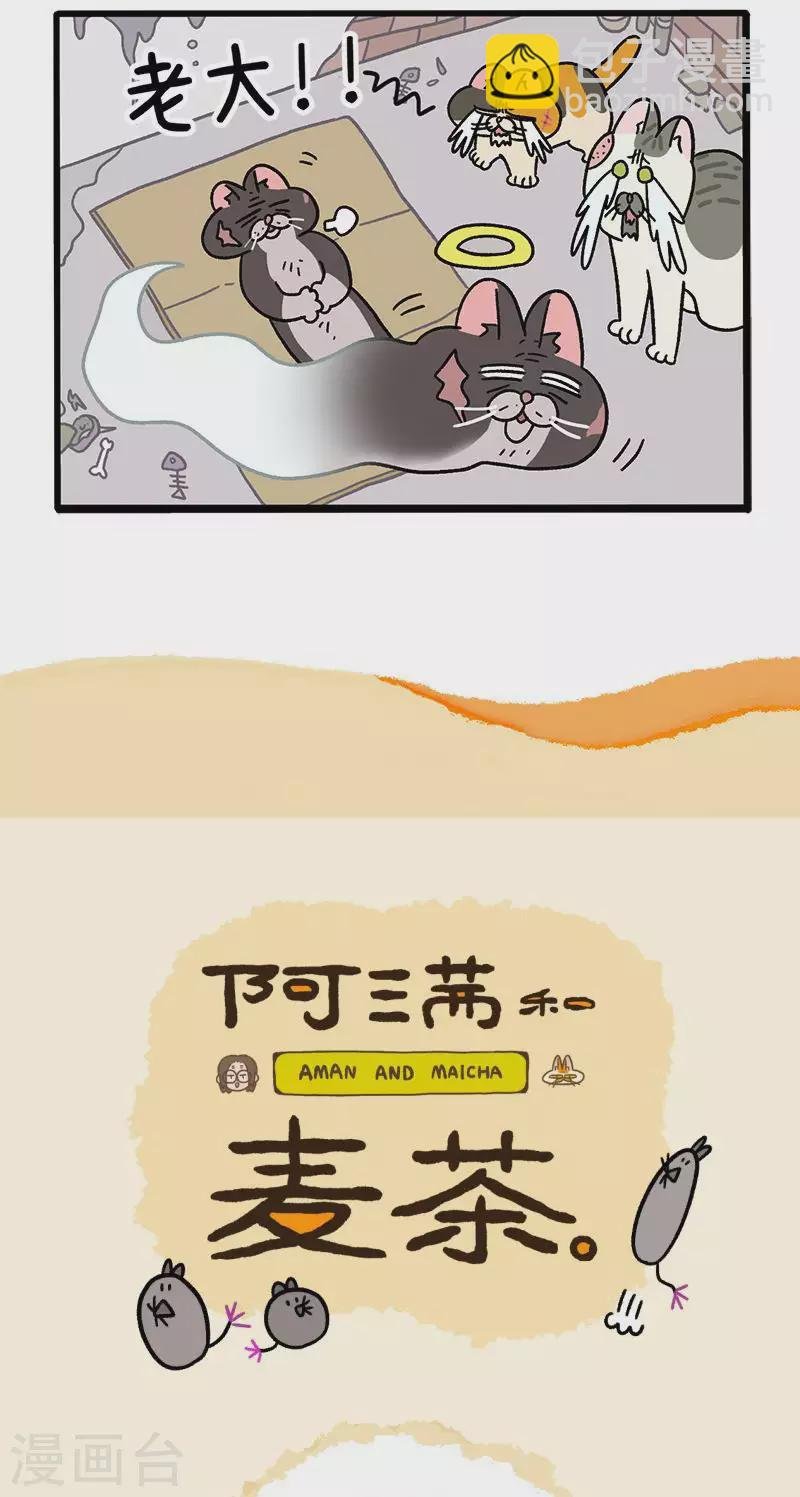 第37话1 继任老大
