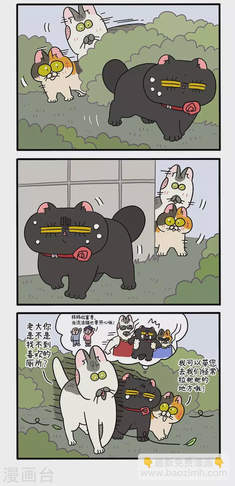 第38话1 老大之道