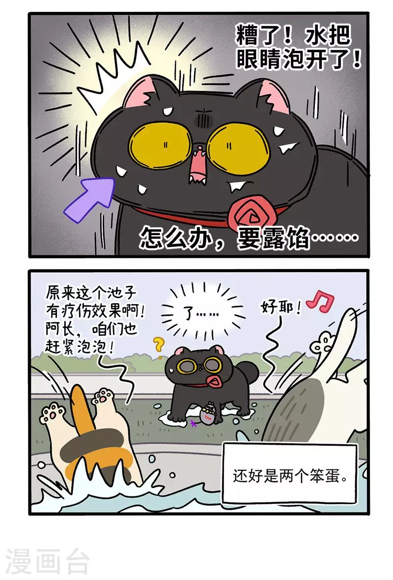 第41话 收到战书