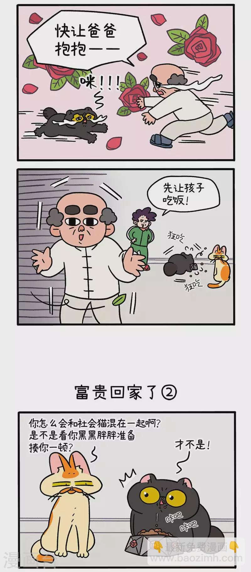 第46话 富贵回家了