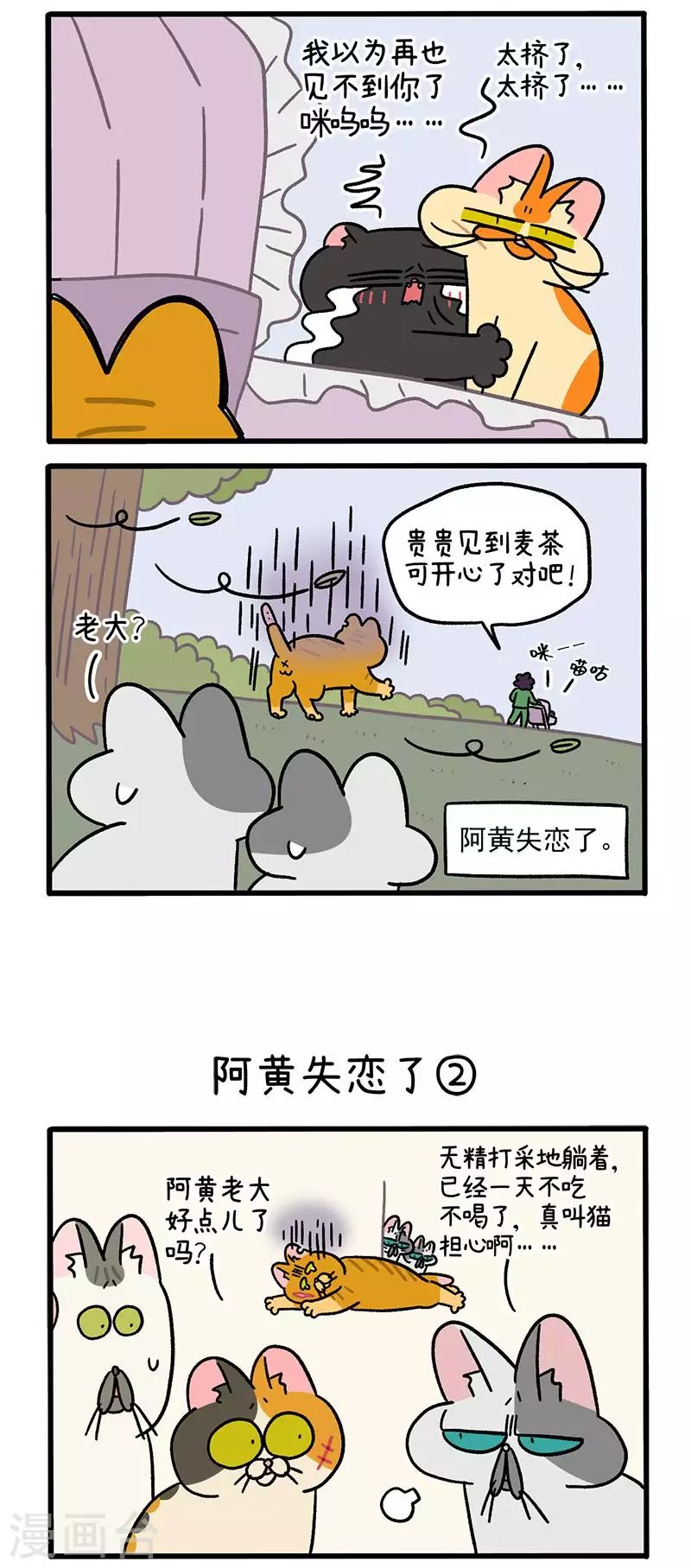 番外6 阿黄失恋了