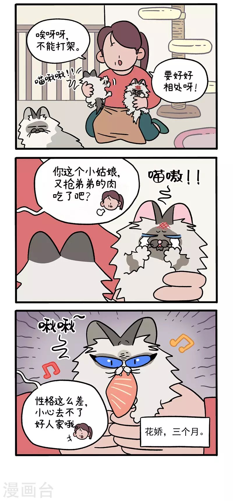 第47话1 花娇的过去