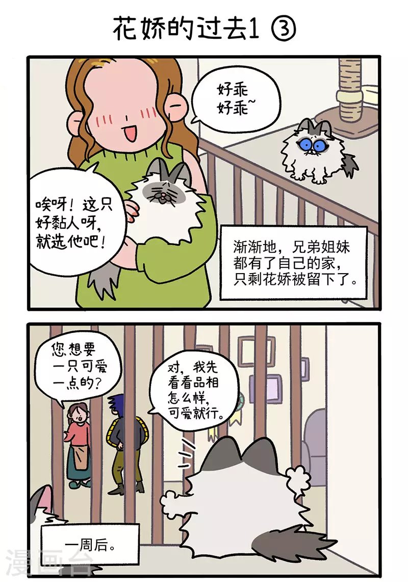 第47话1 花娇的过去