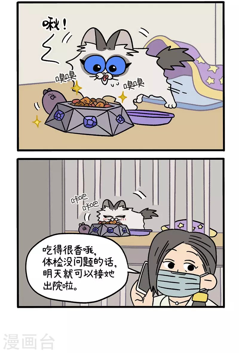 第48话2 花娇的过去