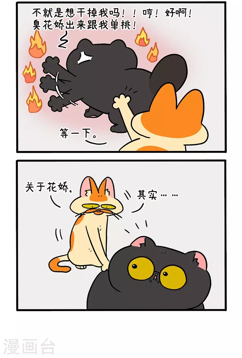 第49话1 真正的兄妹