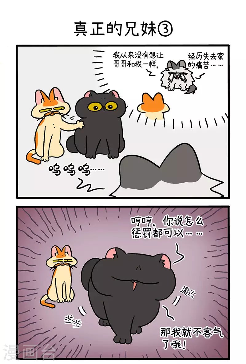 第49话1 真正的兄妹
