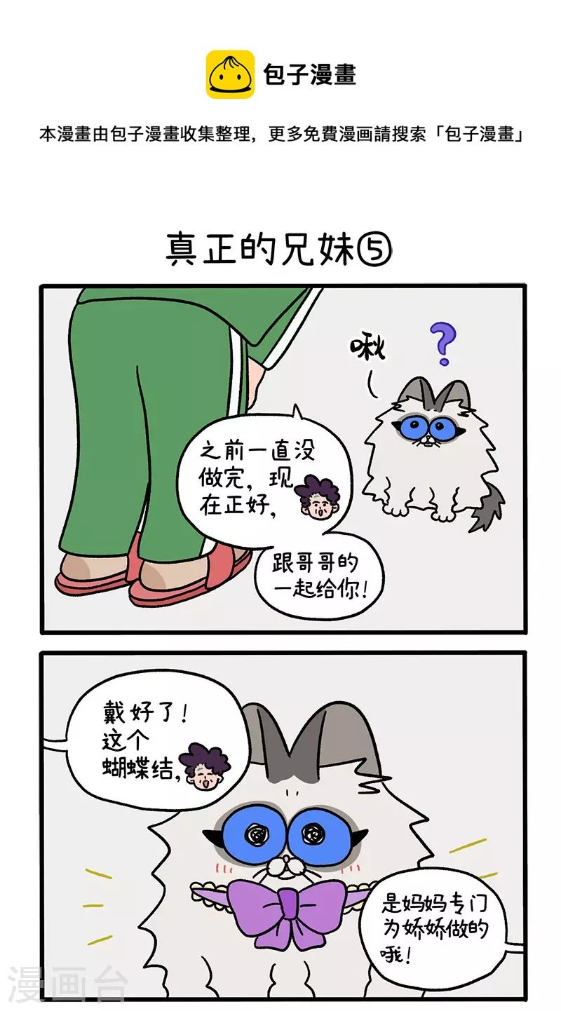 第49话2 真正的兄妹