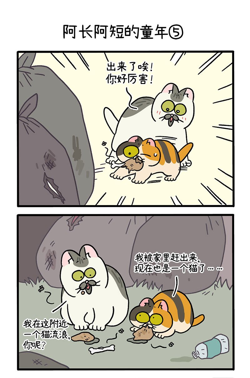 番外7下 阿长阿短的童年