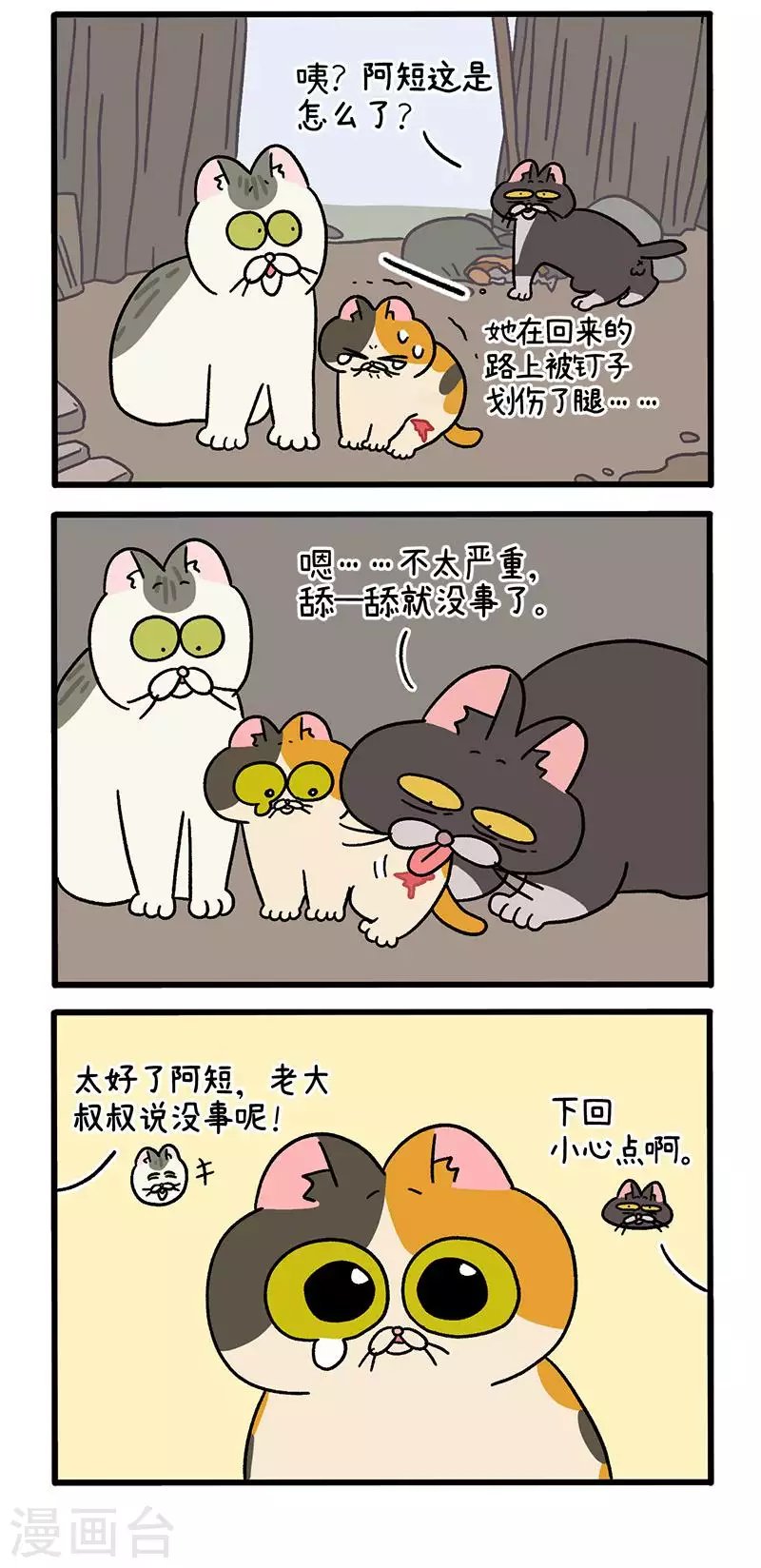 番外8下 黑亮亮帮的往事