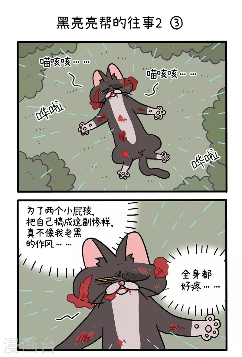 番外9上 黑亮亮帮的往事