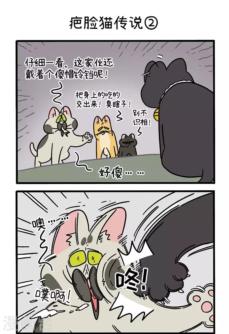 番外10 疤脸猫传说